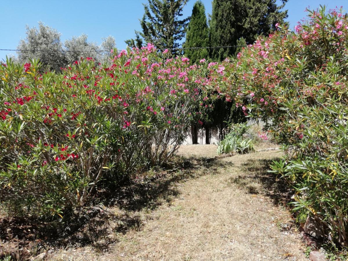 T2 36 m2, RdC de villa, clim, gd jardin clos, animx ok, quartier Mt Faron très calme, wifi, parking Toulon Extérieur photo
