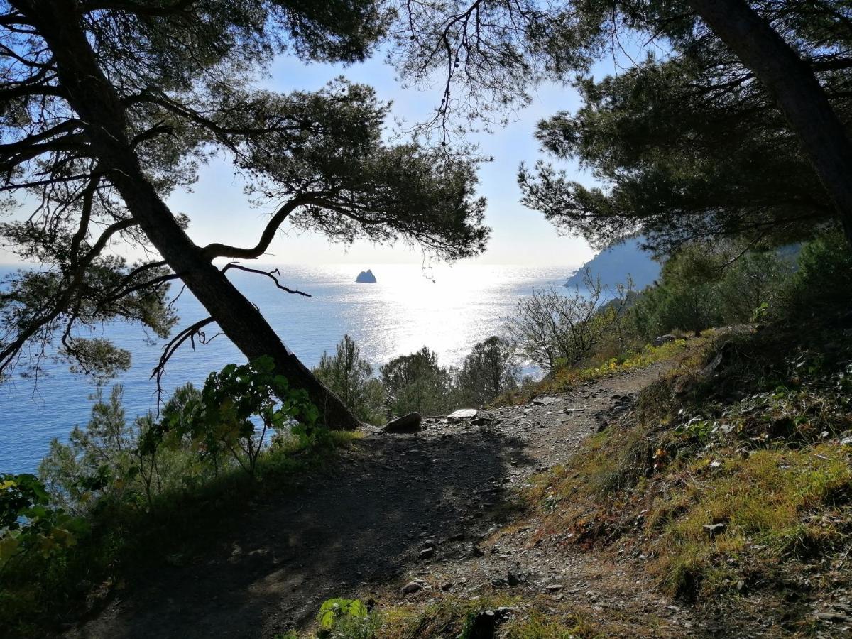 T2 36 m2, RdC de villa, clim, gd jardin clos, animx ok, quartier Mt Faron très calme, wifi, parking Toulon Extérieur photo