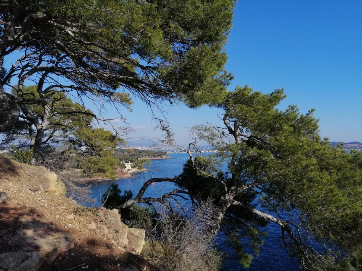 T2 36 m2, RdC de villa, clim, gd jardin clos, animx ok, quartier Mt Faron très calme, wifi, parking Toulon Extérieur photo